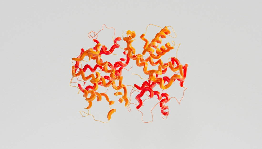 Severe Peanut Allergies and The Role Of Storage Proteins