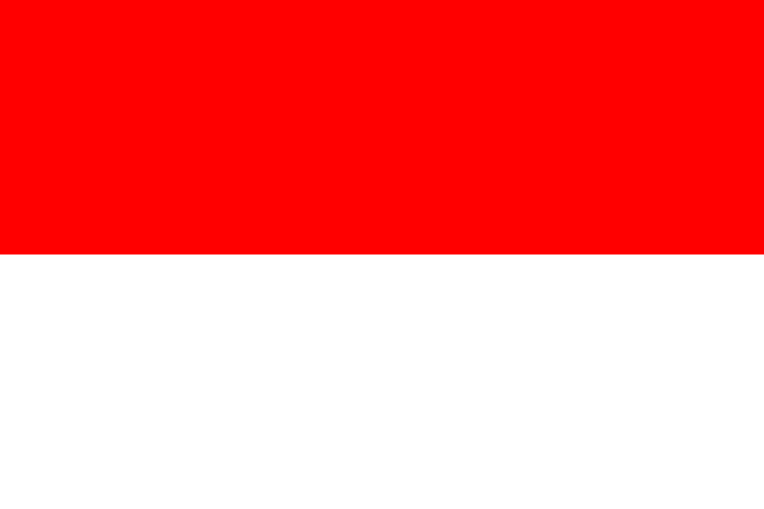 Peanut and Tree Nut Allergy Translation Card - Indonesian