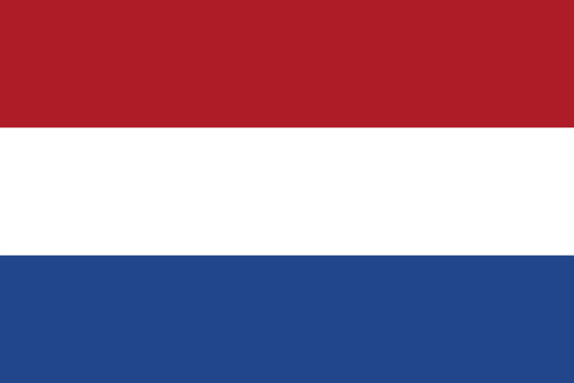 Peanut Allergy Translation Card - Dutch