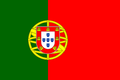 Peanut Allergy Translation Card - Portuguese