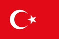 Tree Nut Allergy Translation Card - Turkish